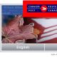 Canada Post - tracking of postal items Canada Post tracking
